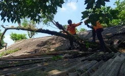 Perkembangan Situasi dan Penanganan Bencana Tanggal 12 Mei 2025